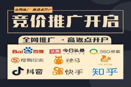 百度竞价包年推广的典型案例与效果展示